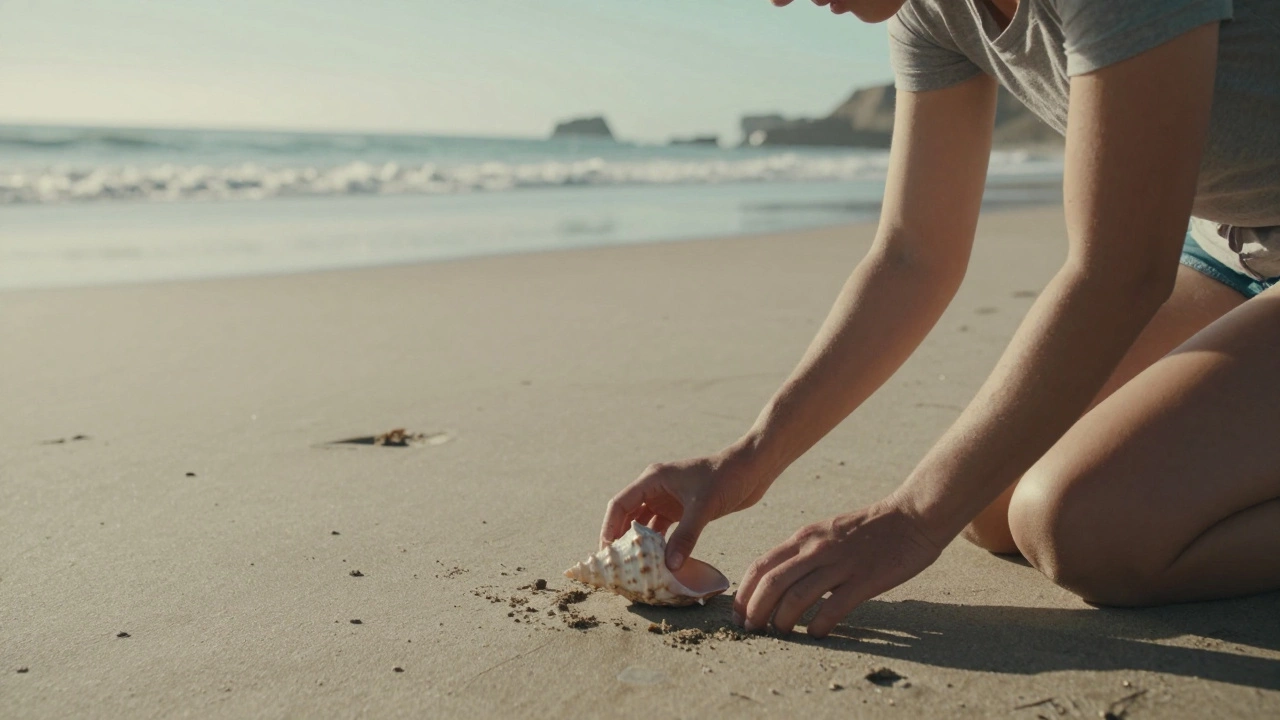 Is It Illegal to Take Shells from the Beach in California?