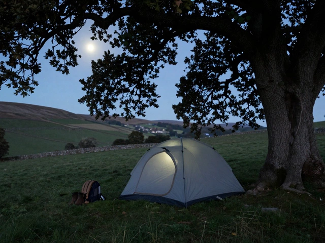 Why Is Stealth Camping Illegal in the UK?