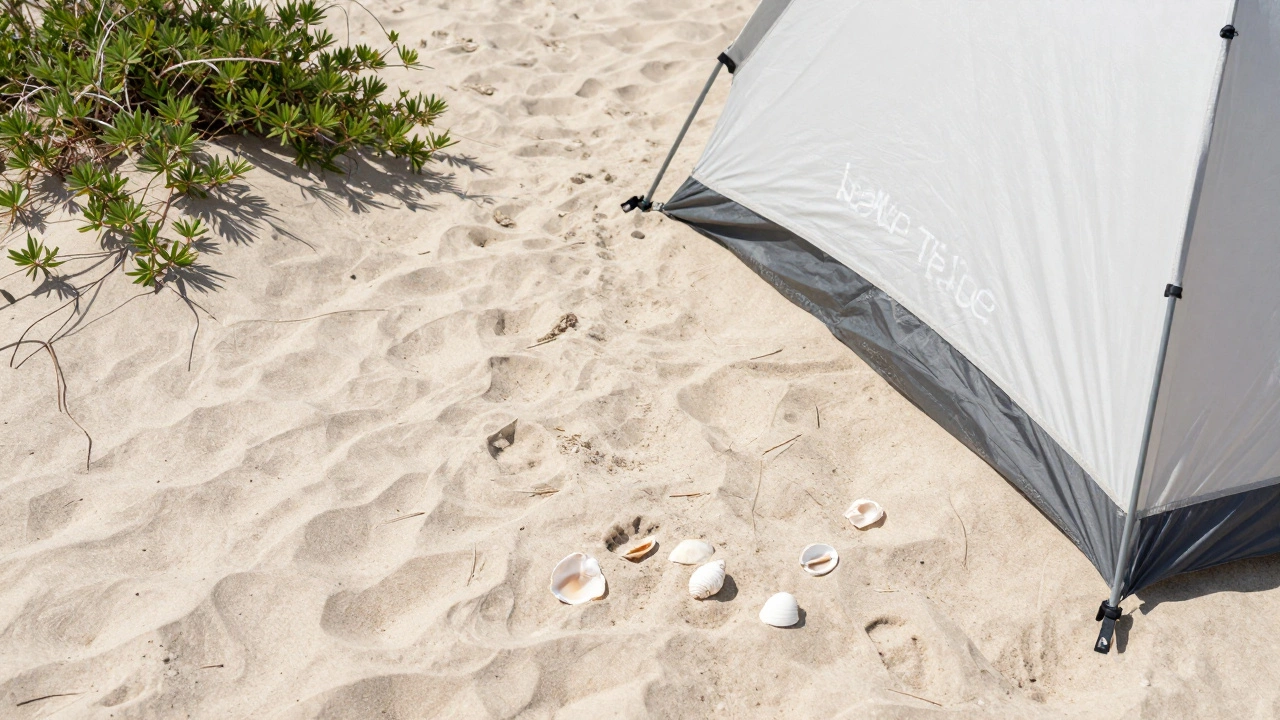 Pristine beach sand with no trace of camping, showing a clean and undisturbed environment.
