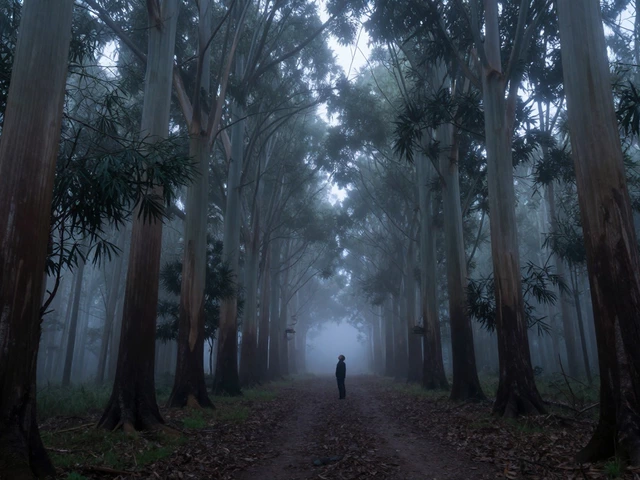 Can You Live in the Forest? Rules, Costs & Realistic Options